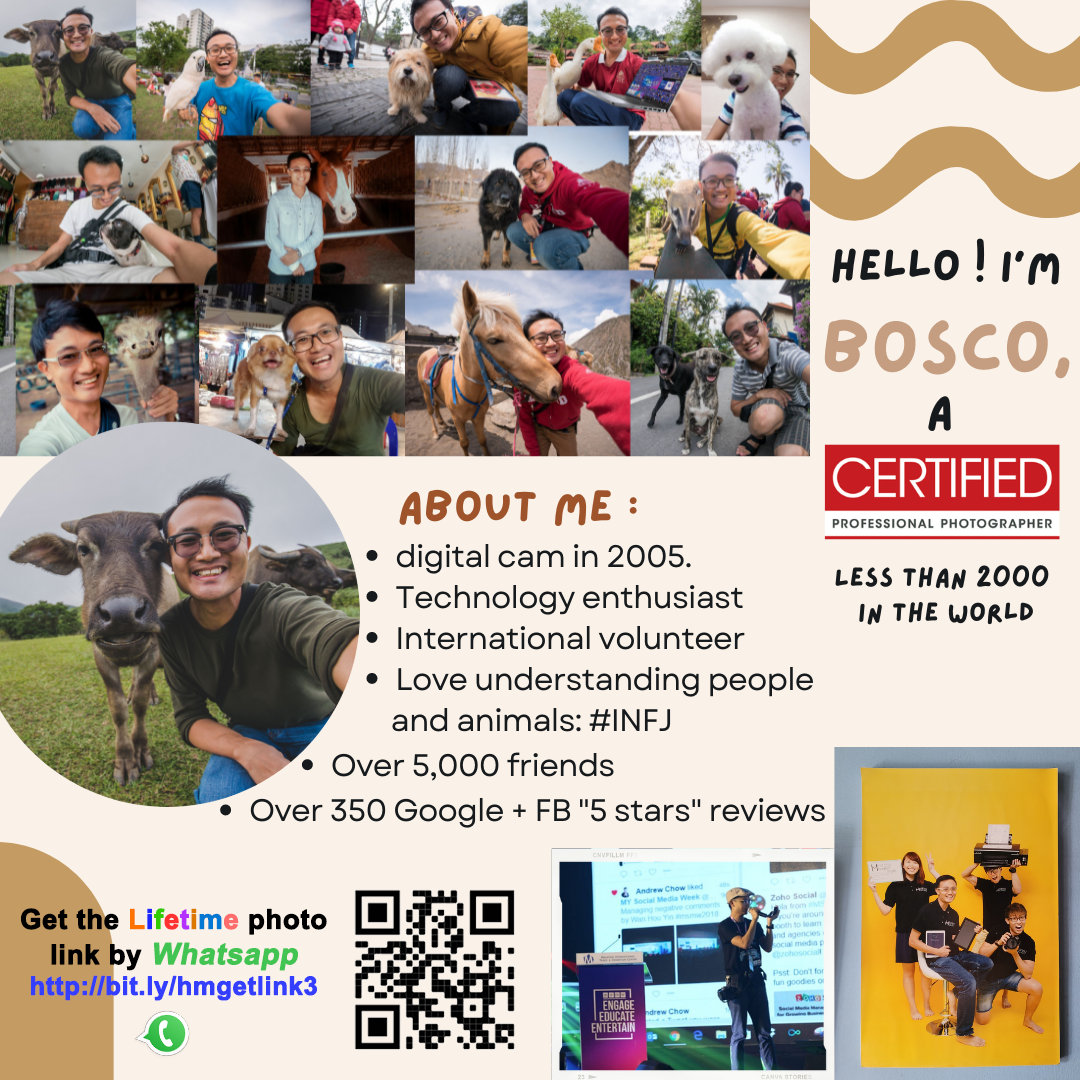 BOSCO LIM JIAHE-964H-Bosco Jiahe 1 page intro 2022 (Canva) v6.1.png