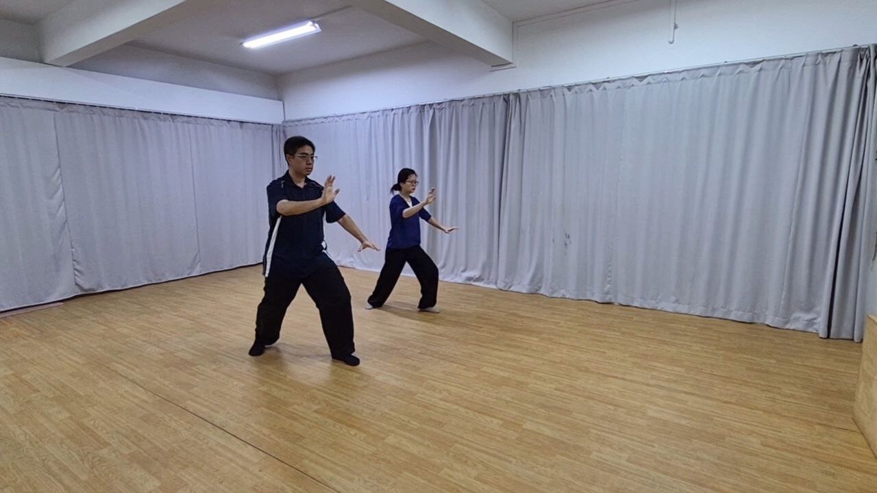 He Ziying-097D-Tai Chi Dual 2.jpg