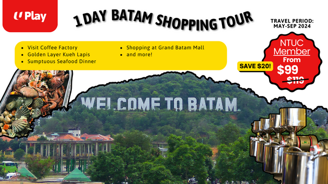 Batam Shopping Tour 1.png