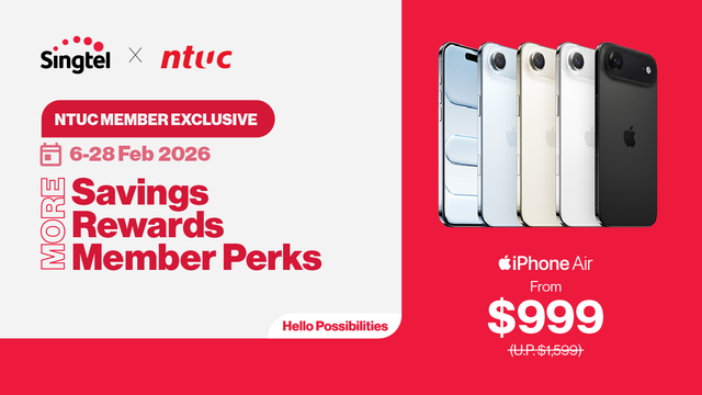 Celebrate this festive season