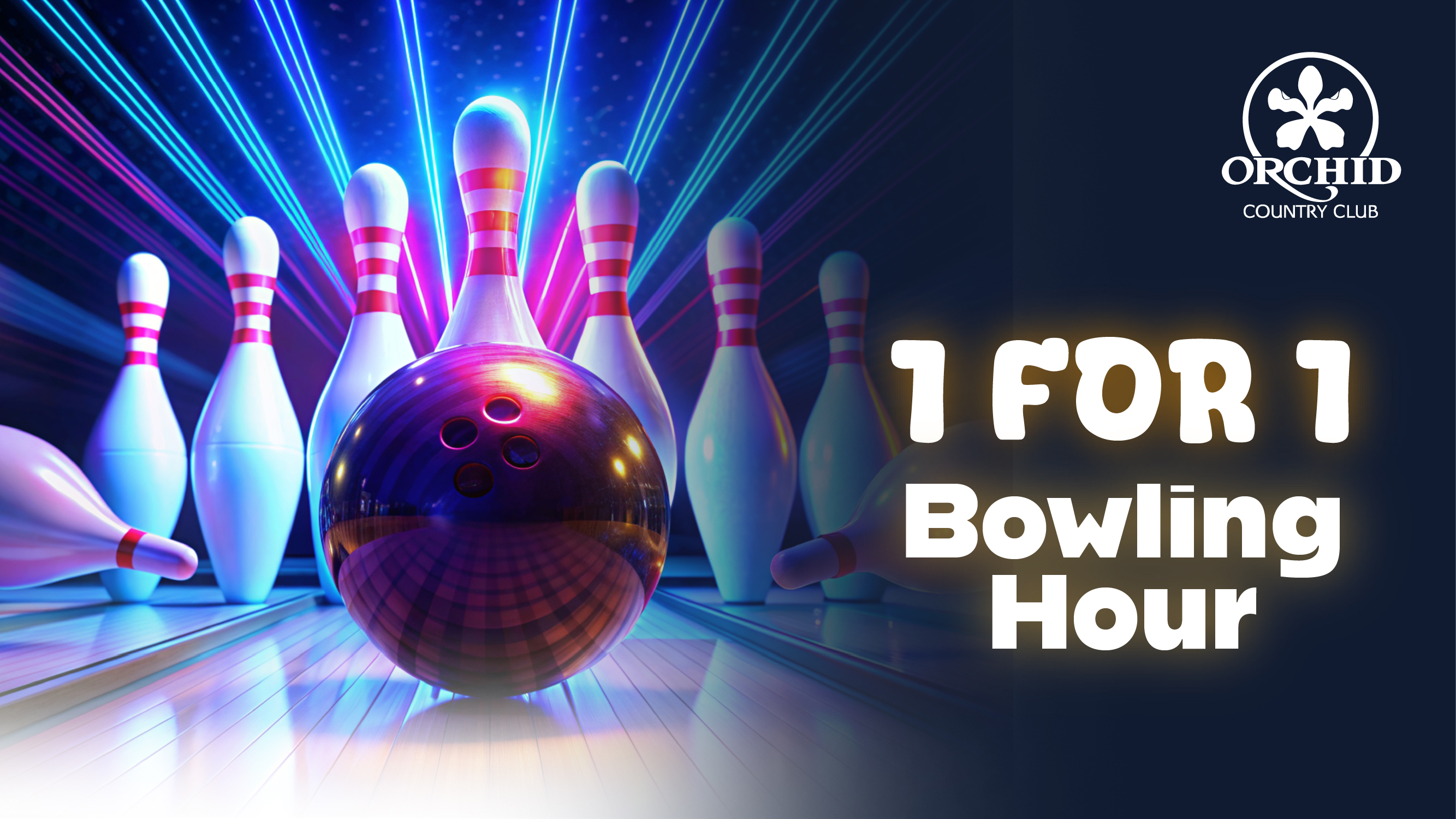 Celebrate this festive season