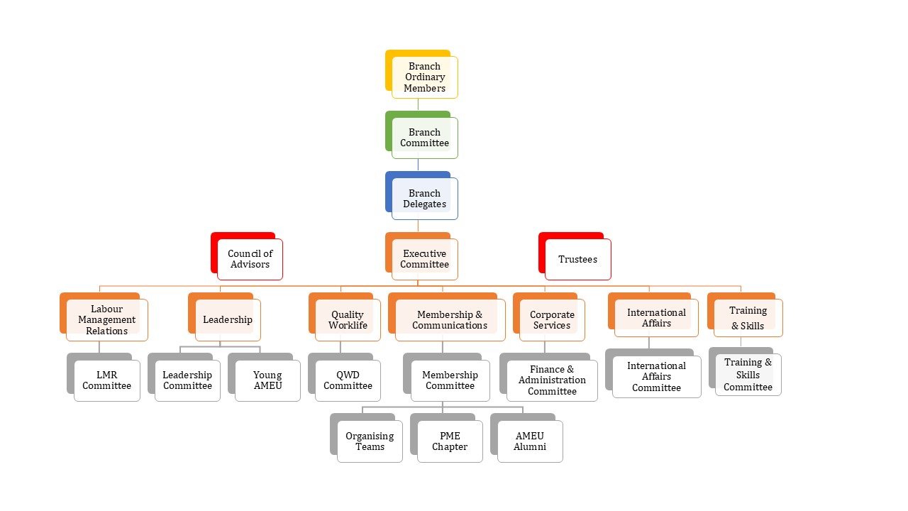AMEU Updated Org Chart.jpg