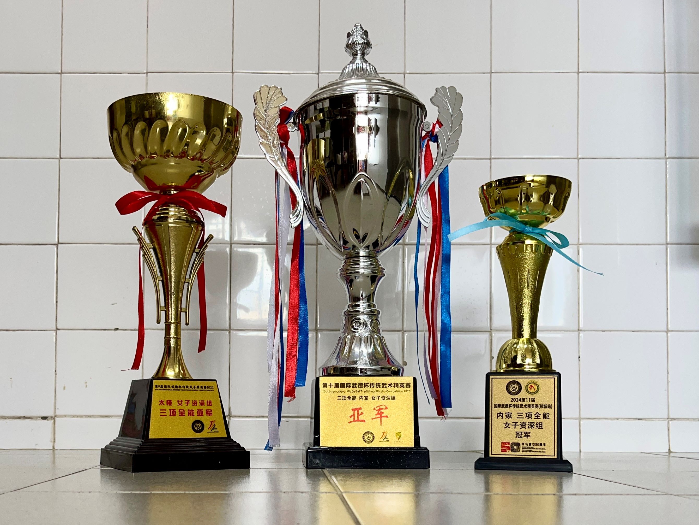 Ong Choon Peng-437J-WuDeBei Trophies 2022-2024.jpg