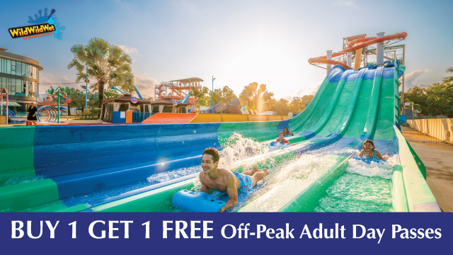 Celebrate this festive season