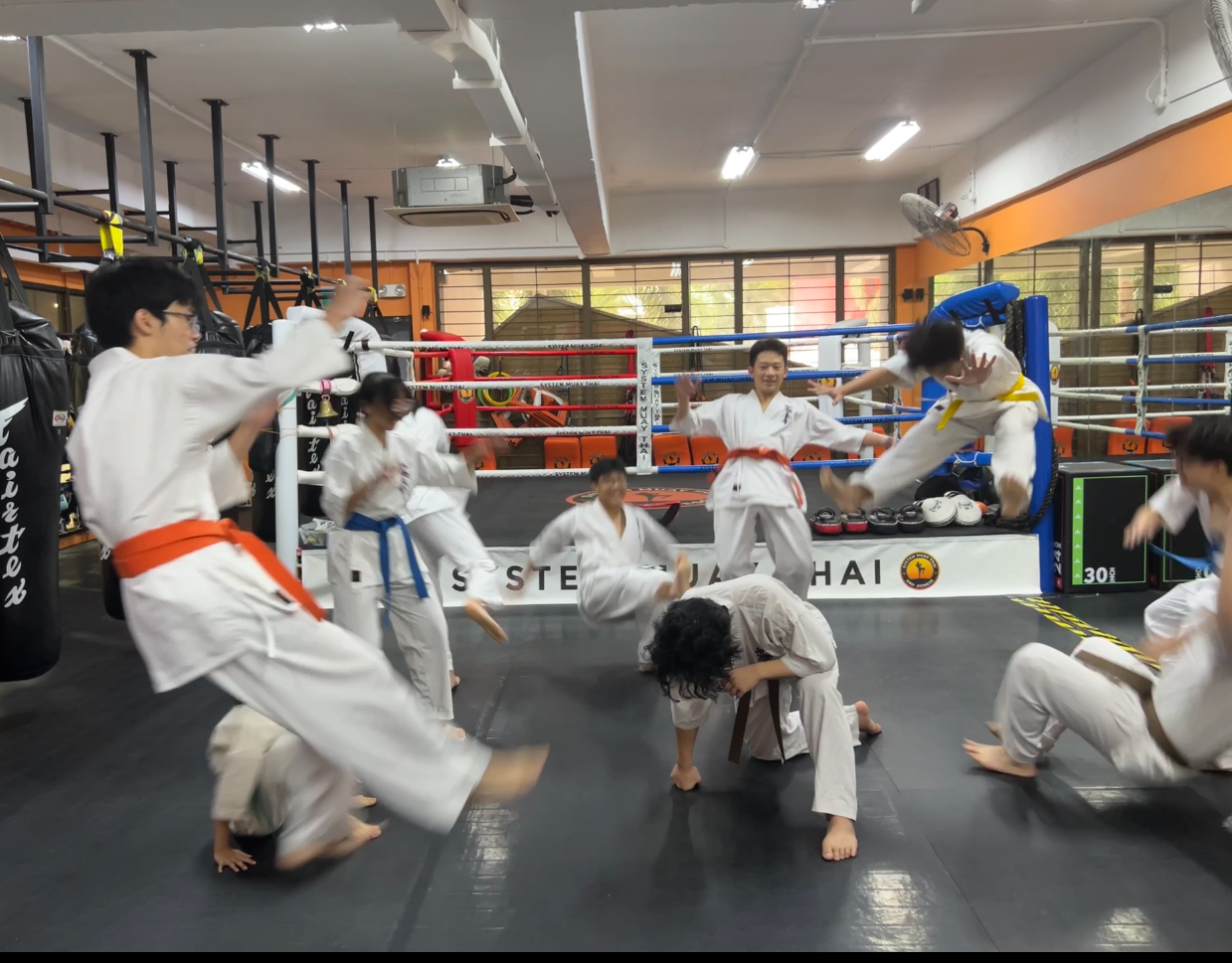 FRANCIS TAN THENG HAI-308A-Dojo fun action-Thor.jpg