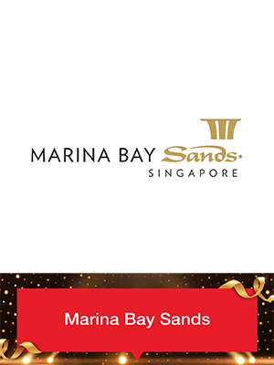 Partner of Labour Movement Marina Bay Sands