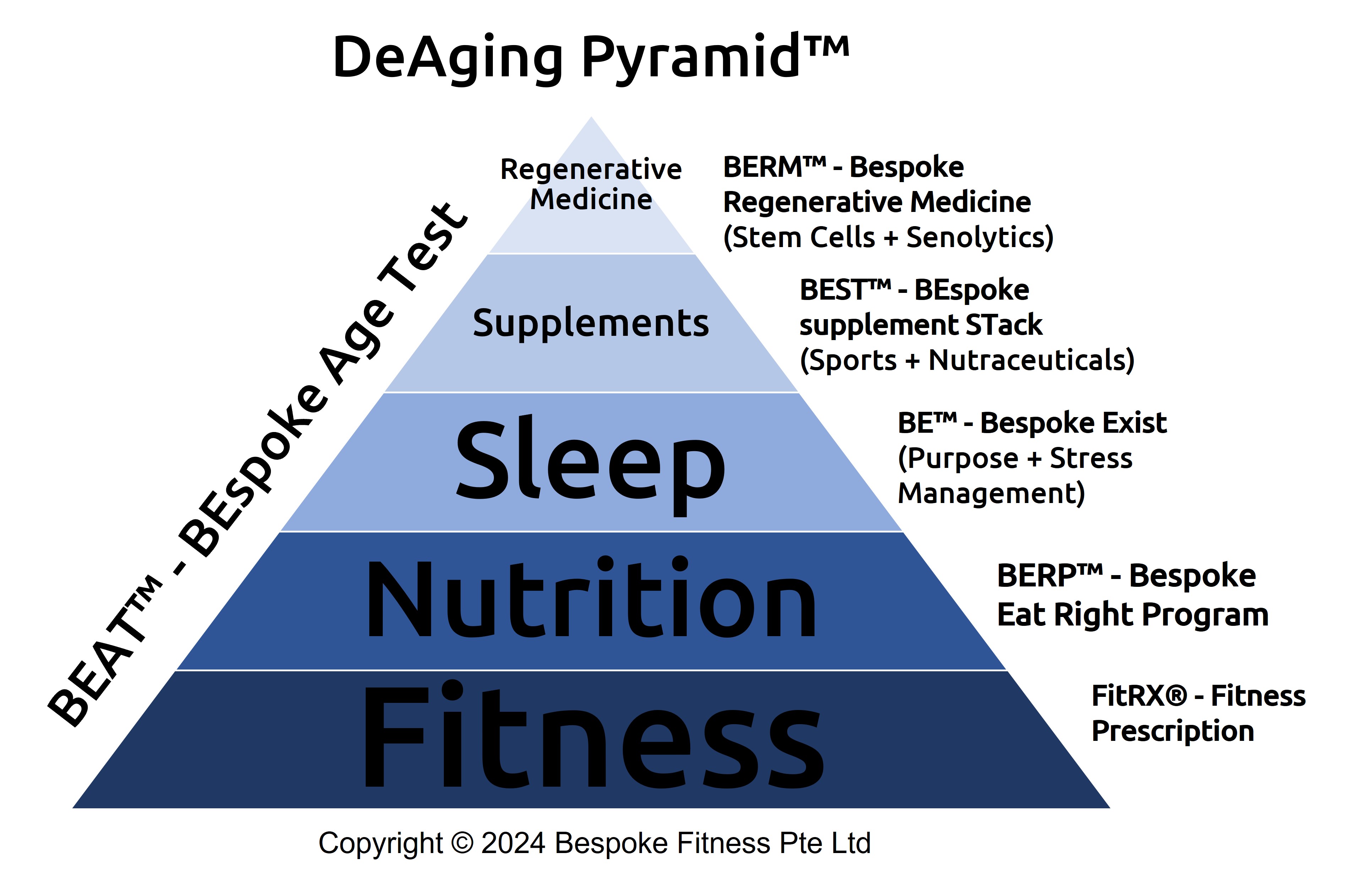 Tiat Lim-285G-DeAging_Pyramid_2024.jpg