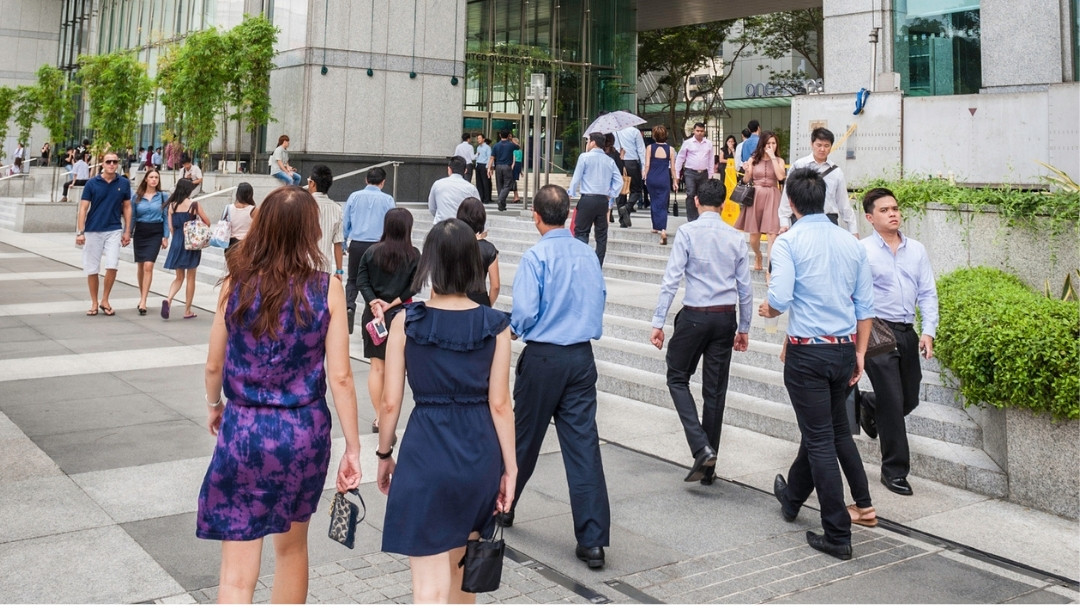 SWDA Bill provides an integrated jobs and skills agency to support career journeys (2).jpg