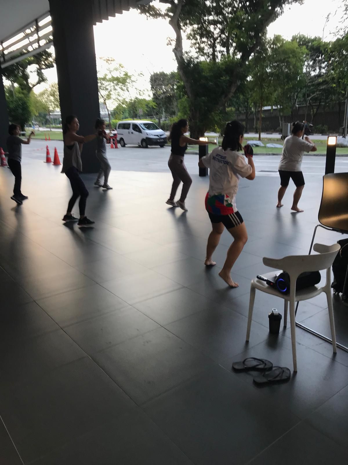 Thoo C-291C-Piloxing4.jpeg