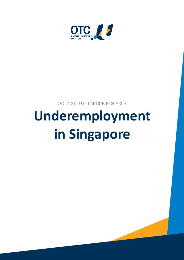 LRC2017-Underemployment.pdf