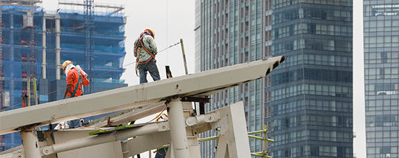 Foreign Workers Survey
