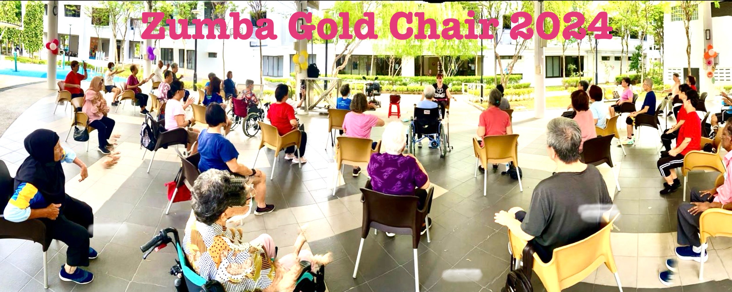 Mildred Lee Zumba® Gold Chair