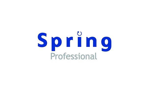 Spring Professional