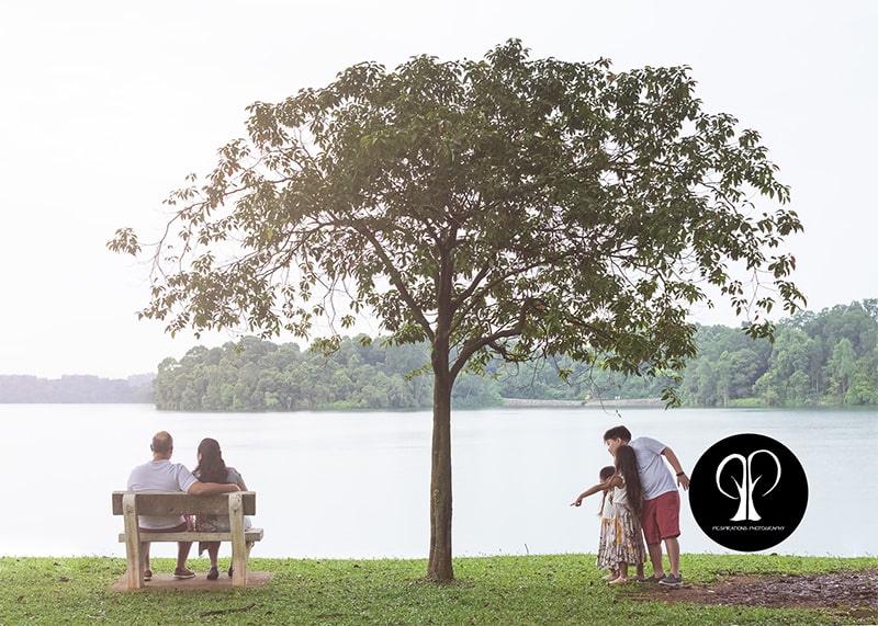 a photo of a lake, there is a tree that separates the picture into two, on one side are a couple sitting on a bench and on the other are their kids watching the view