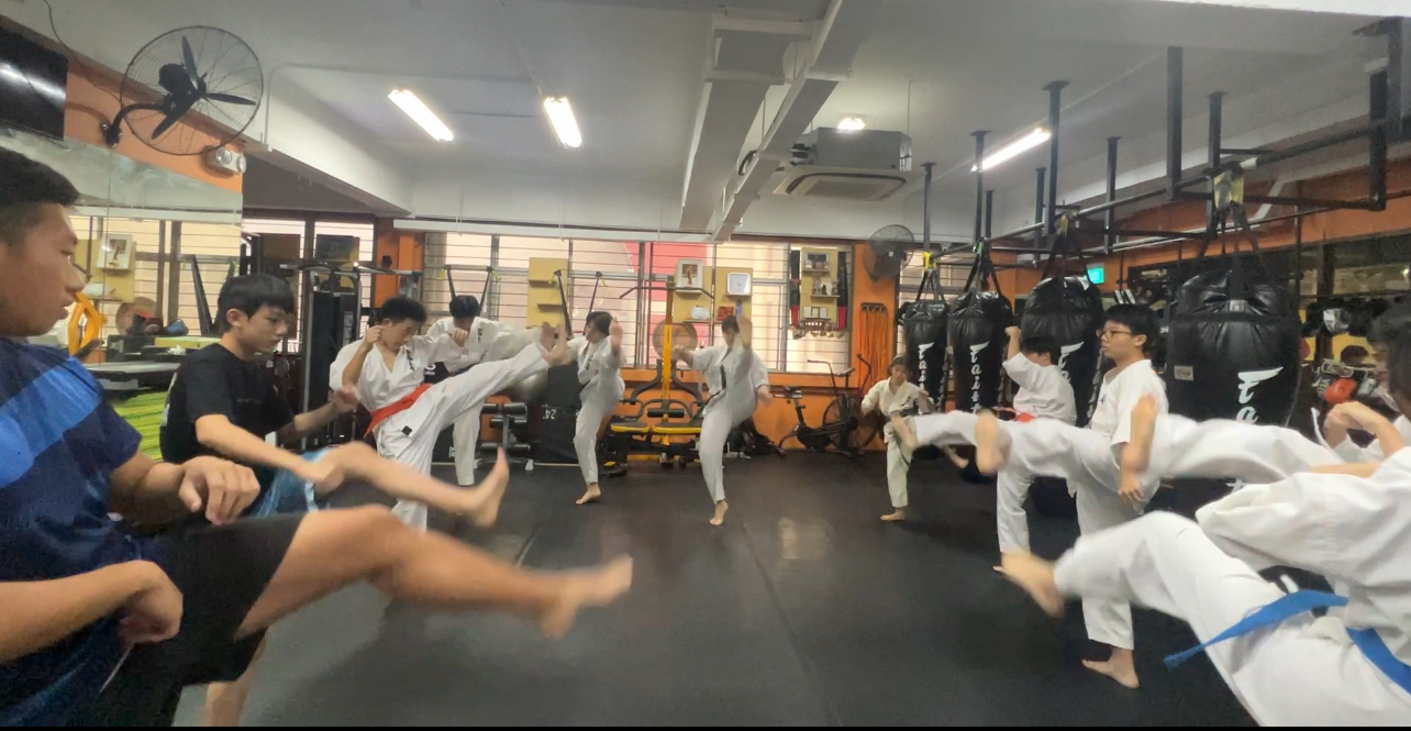 FRANCIS TAN THENG HAI-308A-Dojo action4.jpg